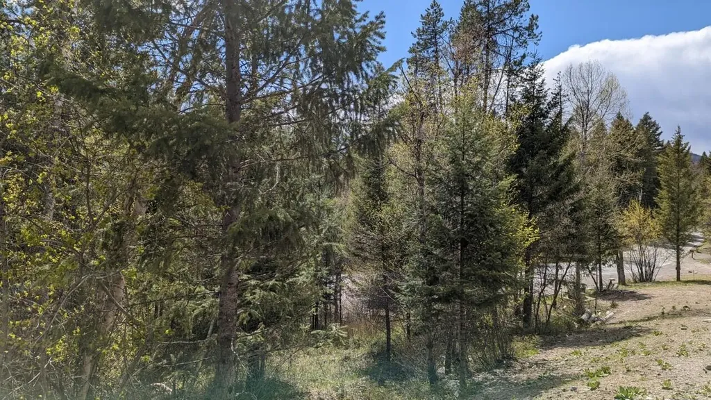 292 Reservoir Road Whitefish MT 59937