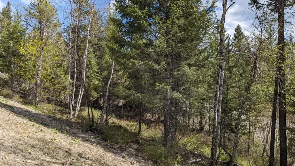292 Reservoir Road Whitefish MT 59937
