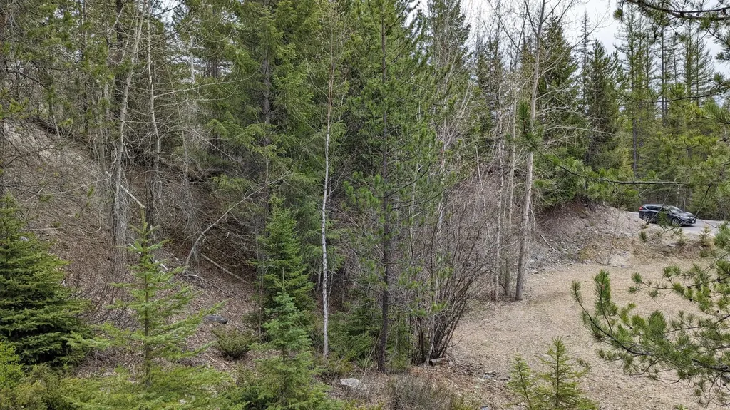 292 Reservoir Road Whitefish MT 59937