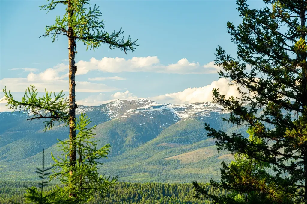 31 Forest Path Drive Whitefish MT 59937