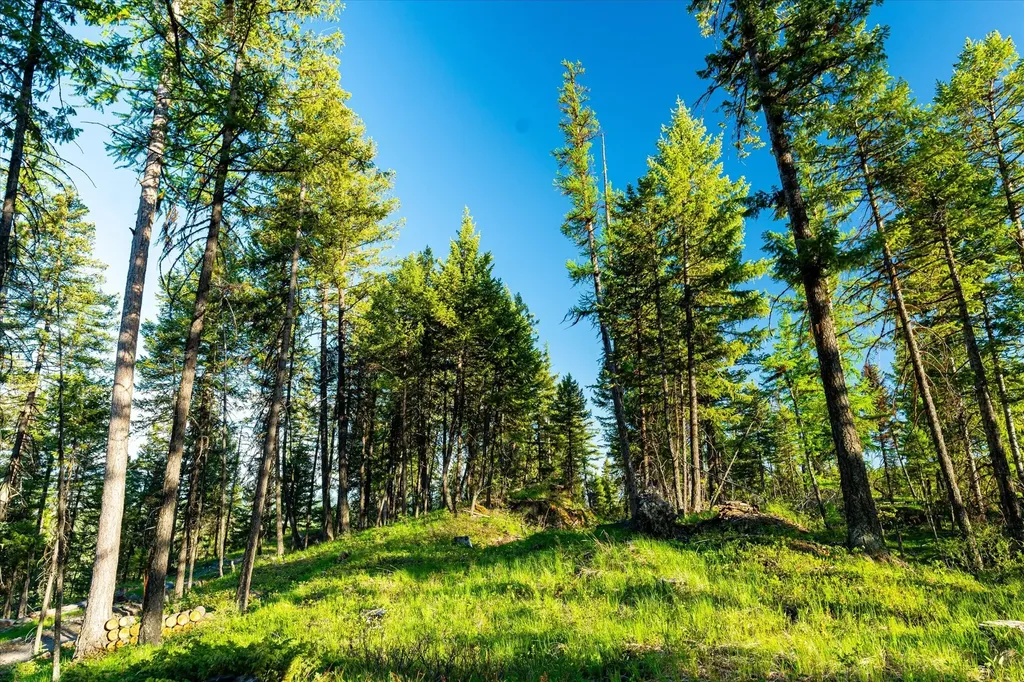 31 Forest Path Drive Whitefish MT 59937