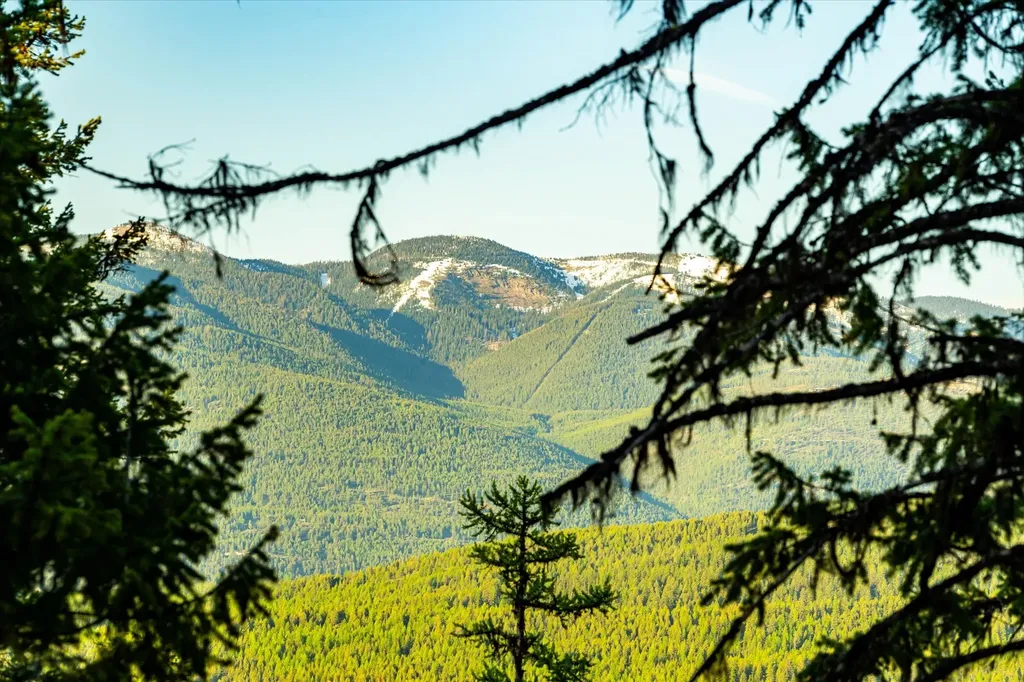 31 Forest Path Drive Whitefish MT 59937