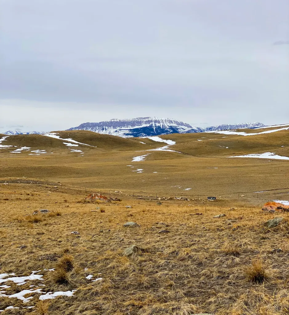 4060 W Meadowlark Lane Augusta MT 59410