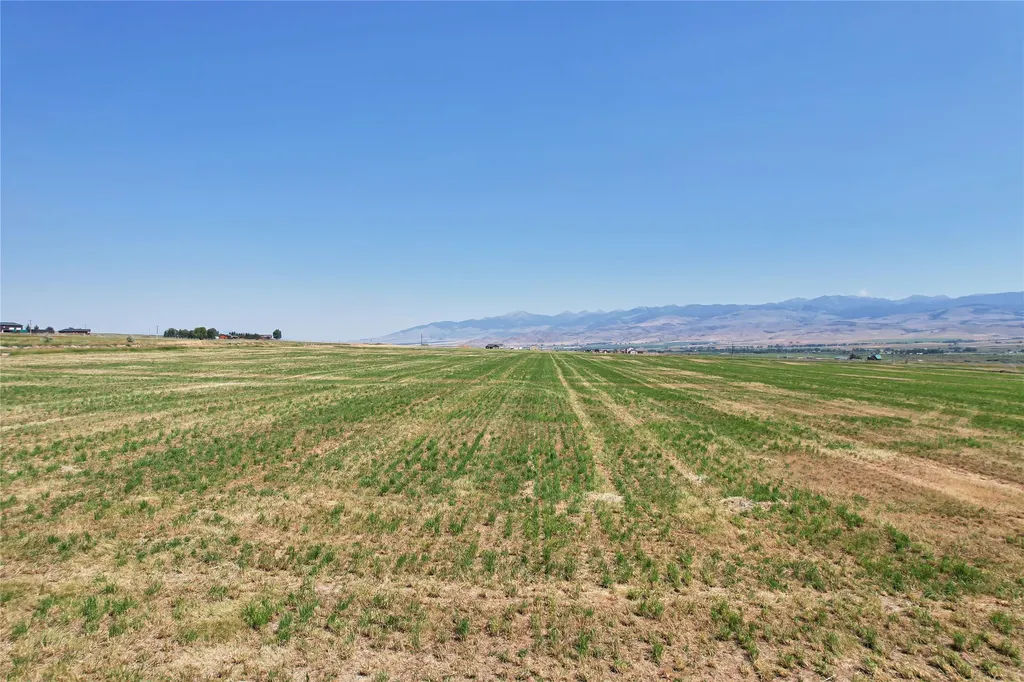 Lot 1a Spring Creek Road Alder MT 59710