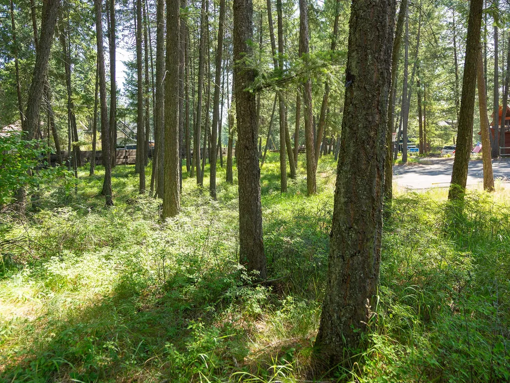 2130 Houston Drive Whitefish MT 59937
