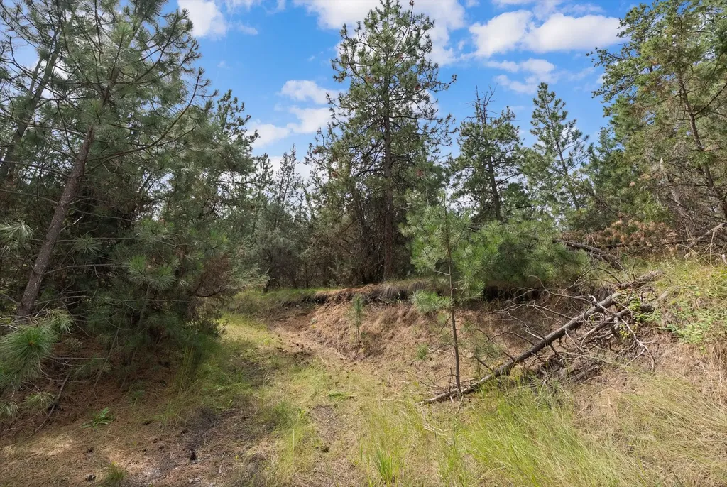 Old Us Hwy 93 Lot 1b Dayton MT 59914
