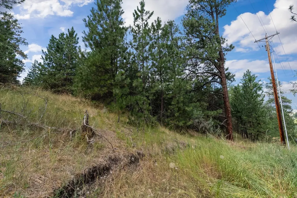 Old Us Hwy 93 Lot 1b Dayton MT 59914