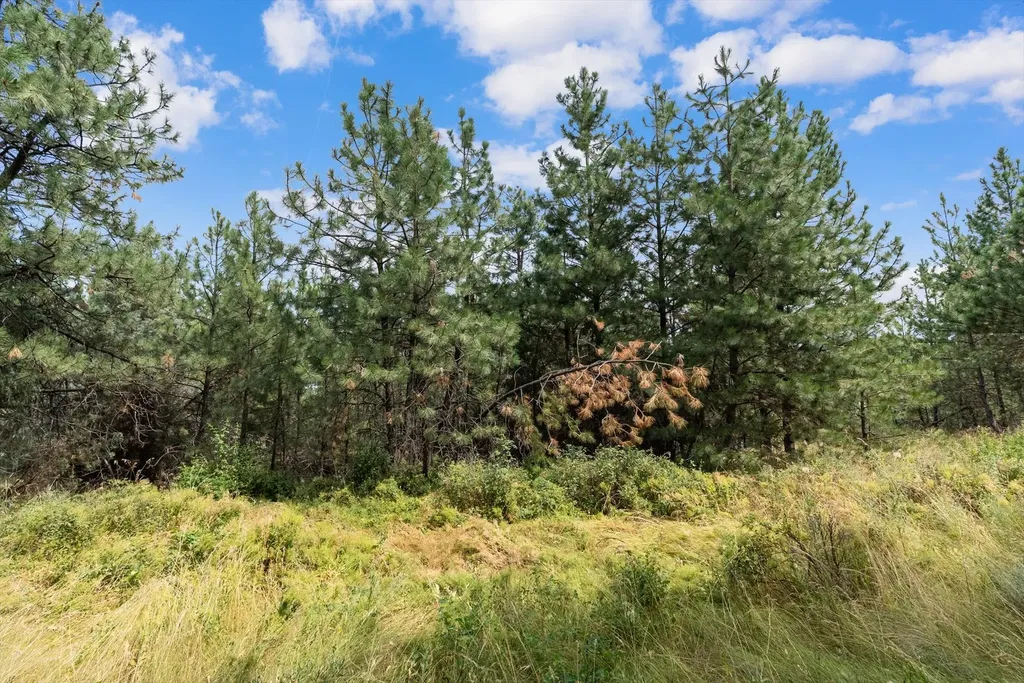 Old Us Hwy 93 Lot 1b Dayton MT 59914