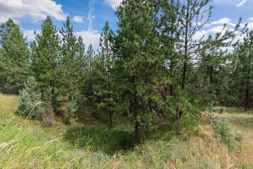 Old Us Hwy 93 Lot 1b Dayton MT 59914