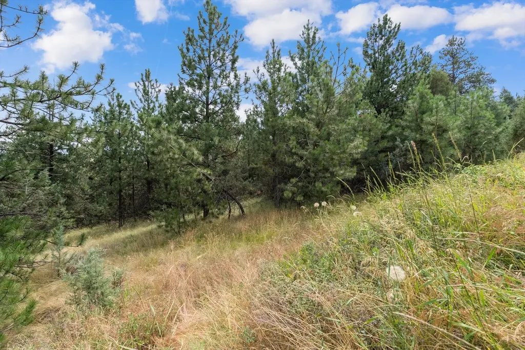Old Us Hwy 93 Lot 1b Dayton MT 59914