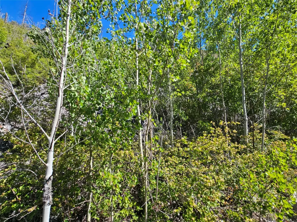80 Upper Packer Gulch Road Drummond MT 59832