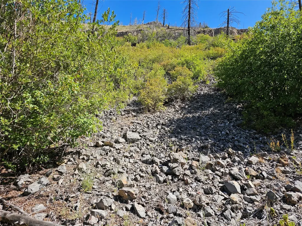 80 Upper Packer Gulch Road Drummond MT 59832