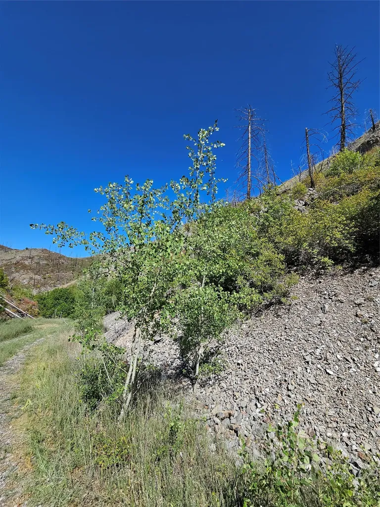 80 Upper Packer Gulch Road Drummond MT 59832