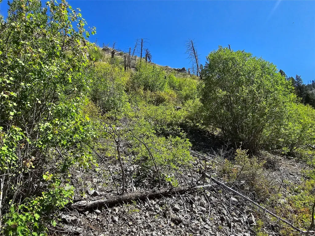 80 Upper Packer Gulch Road Drummond MT 59832
