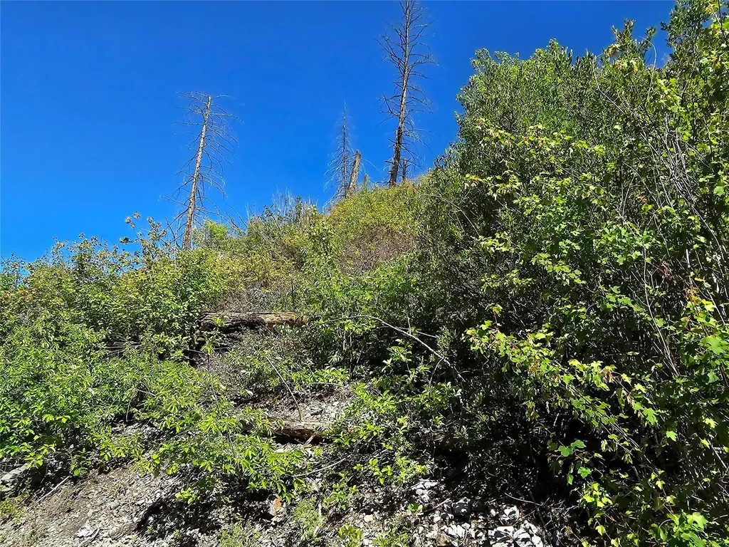 80 Upper Packer Gulch Road Drummond MT 59832