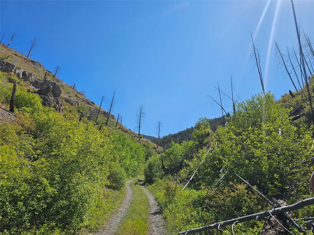 80 Upper Packer Gulch Road Drummond MT 59832