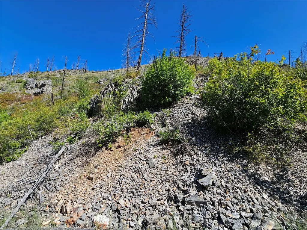 80 Upper Packer Gulch Road Drummond MT 59832