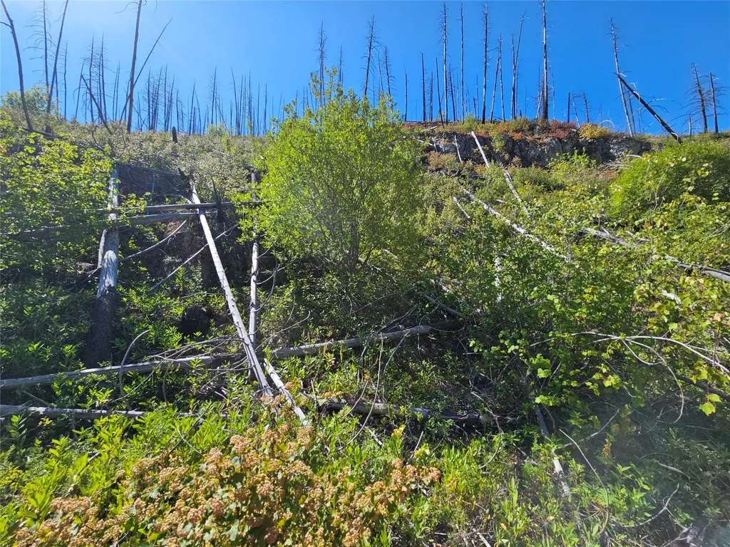 80 Upper Packer Gulch Road Drummond MT 59832