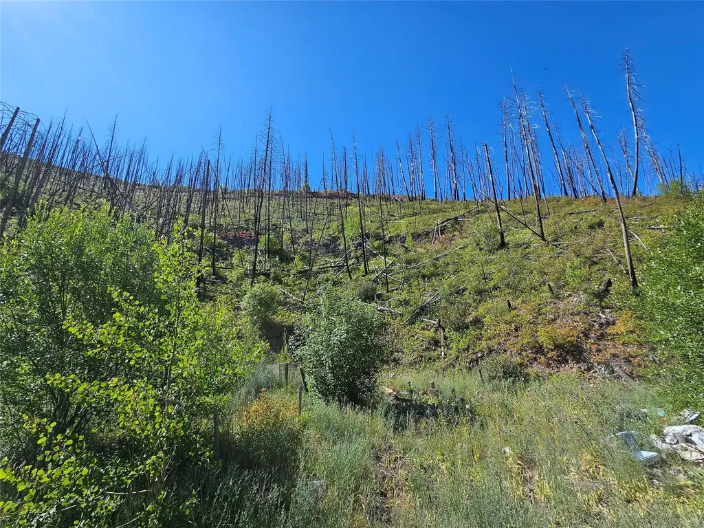 80 Upper Packer Gulch Road Drummond MT 59832