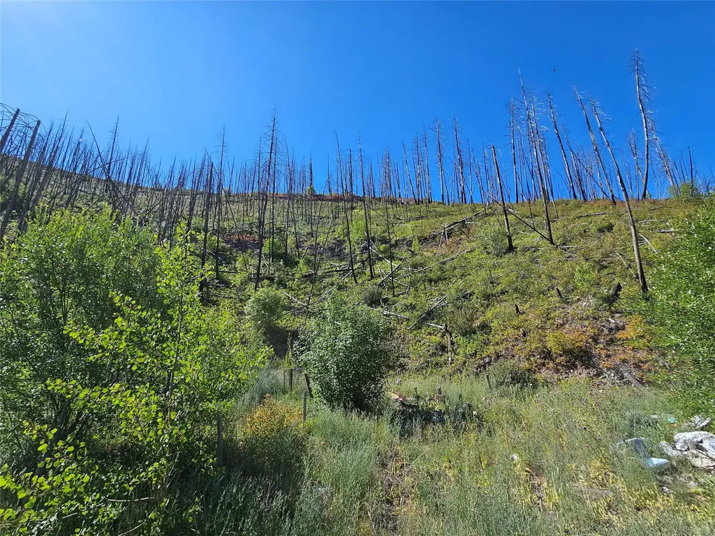 80 Upper Packer Gulch Road Drummond MT 59832