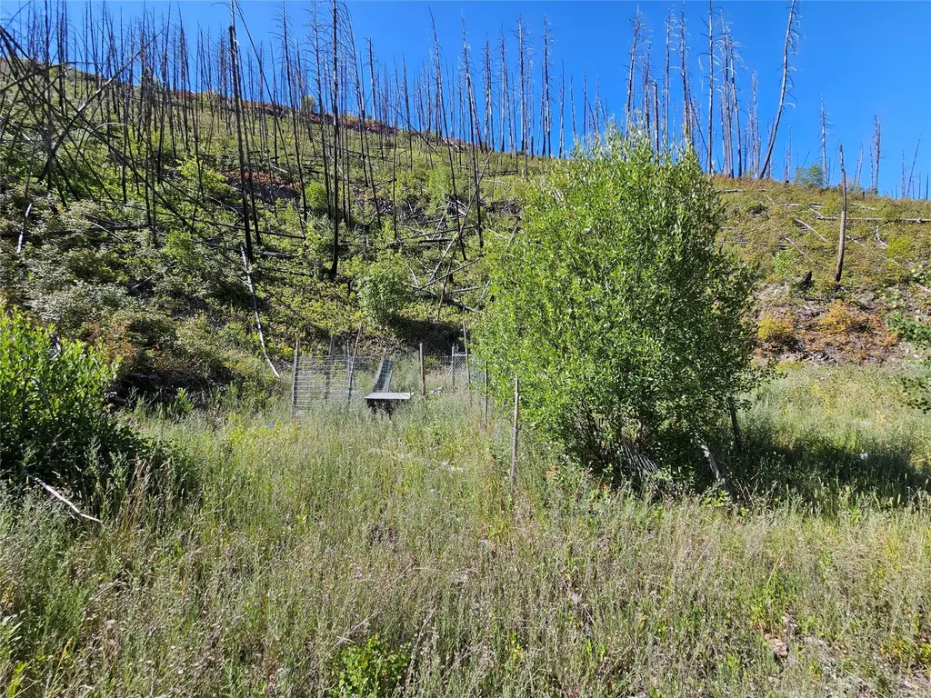 80 Upper Packer Gulch Road Drummond MT 59832