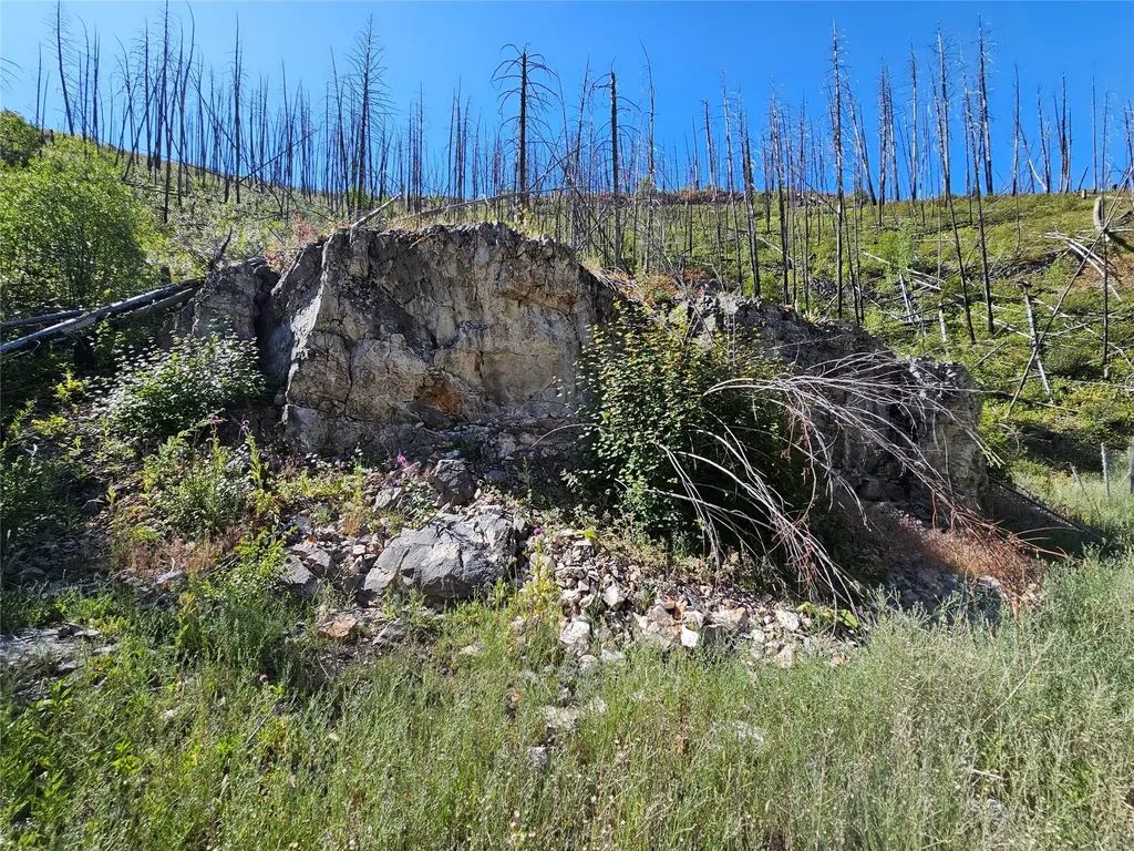 80 Upper Packer Gulch Road Drummond MT 59832