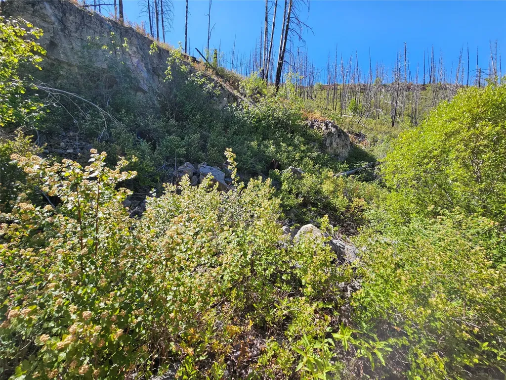 80 Upper Packer Gulch Road Drummond MT 59832
