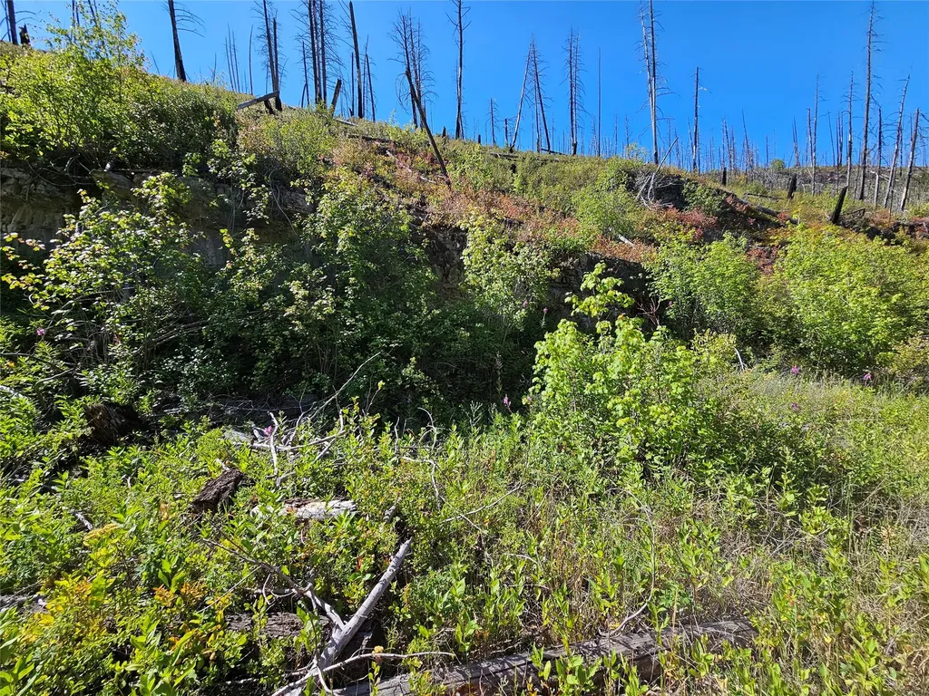 80 Upper Packer Gulch Road Drummond MT 59832