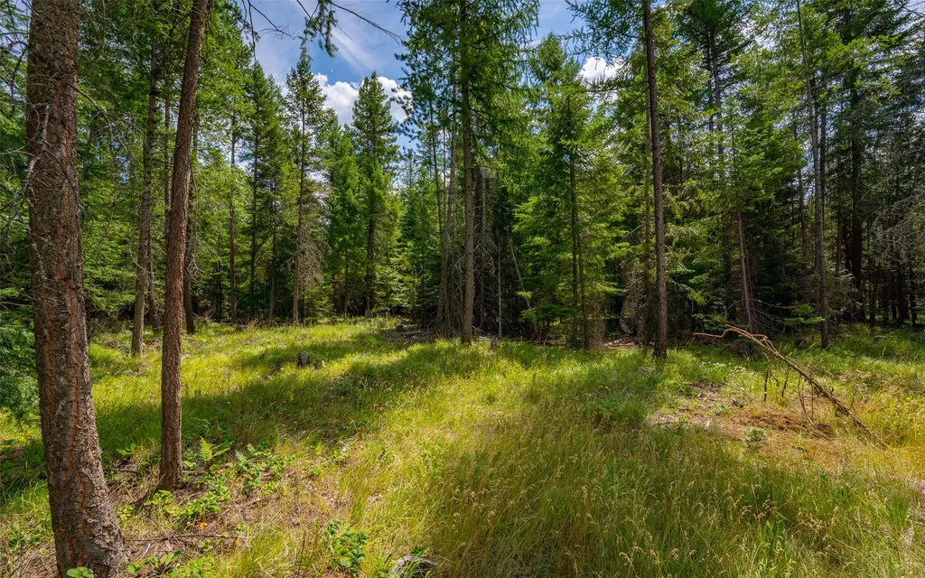 274 Mud Lake Road Troy MT 59935