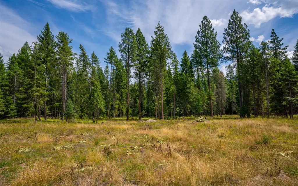 274 Mud Lake Road Troy MT 59935