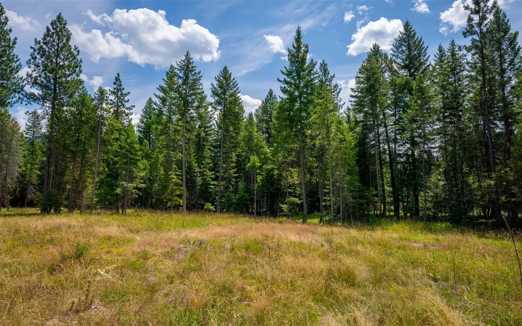 274 Mud Lake Road Troy MT 59935