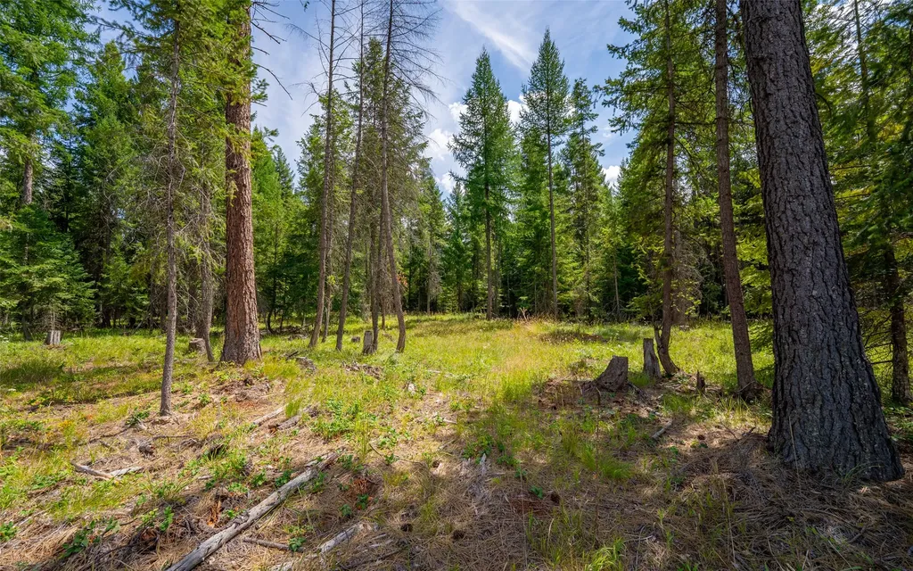 274 Mud Lake Road Troy MT 59935