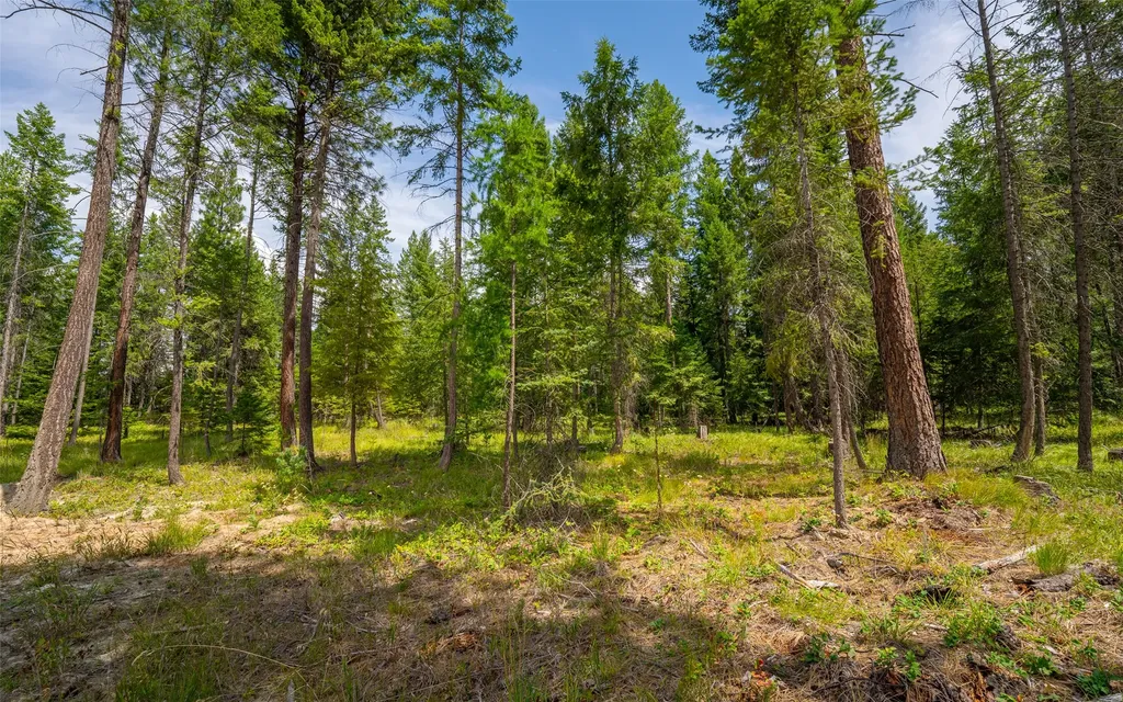 274 Mud Lake Road Troy MT 59935