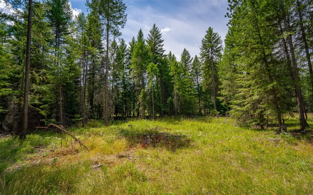 274 Mud Lake Road Troy MT 59935