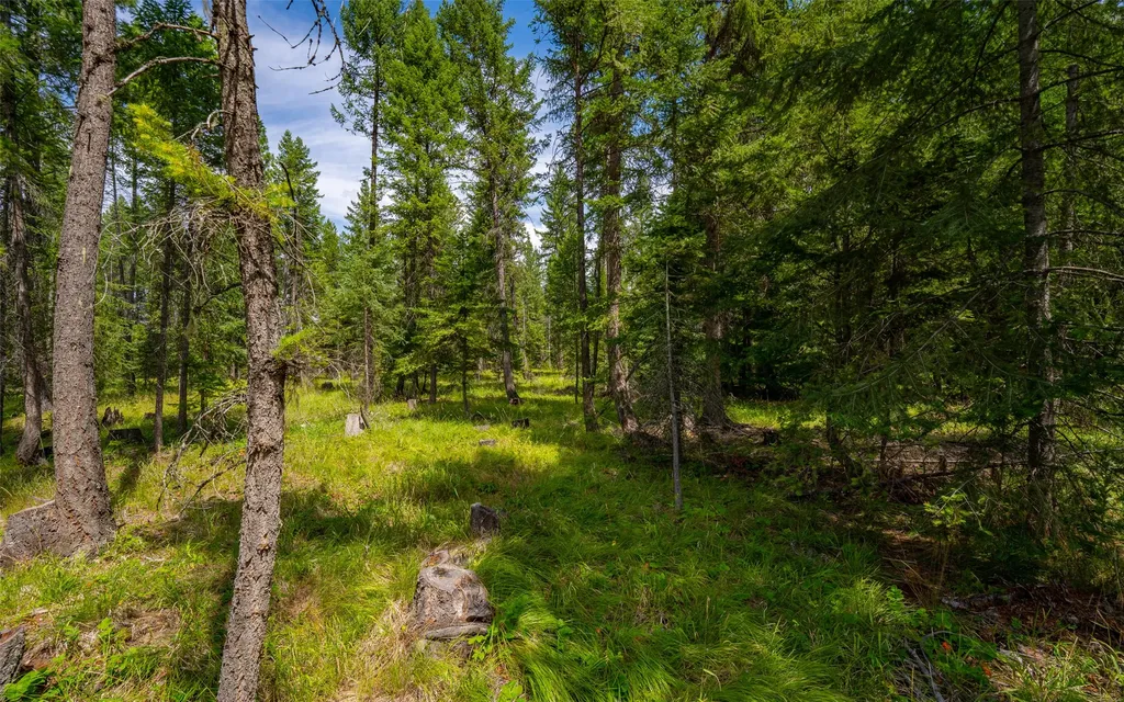 274 Mud Lake Road Troy MT 59935