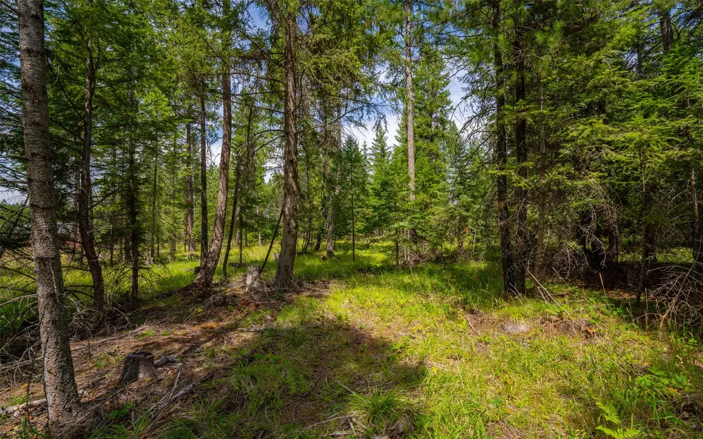 274 Mud Lake Road Troy MT 59935