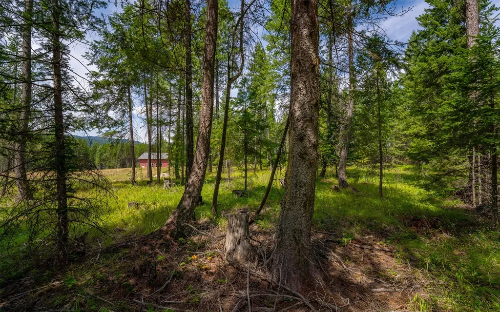 274 Mud Lake Road Troy MT 59935