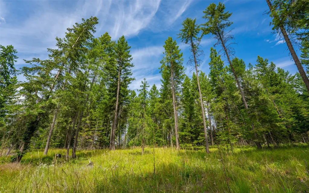 274 Mud Lake Road Troy MT 59935