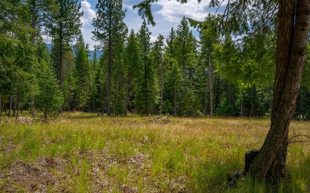 274 Mud Lake Road Troy MT 59935