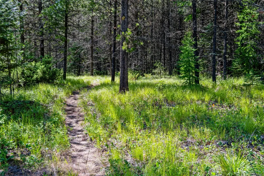 582 Whitefish Hills Loop Whitefish MT 59937