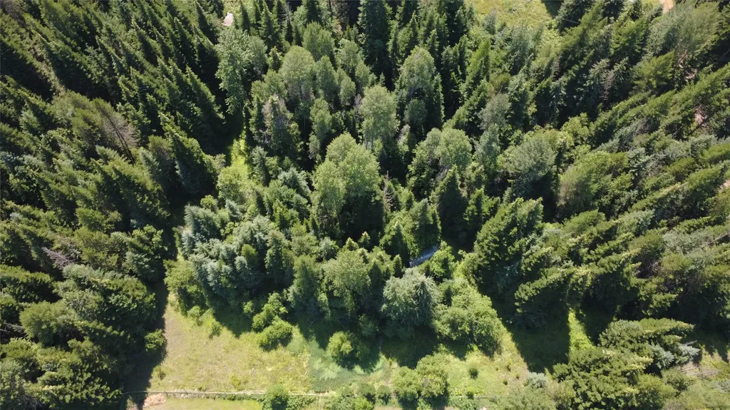 905 Freeman Ridge Road Troy MT 59935