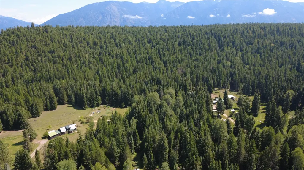 905 Freeman Ridge Road Troy MT 59935
