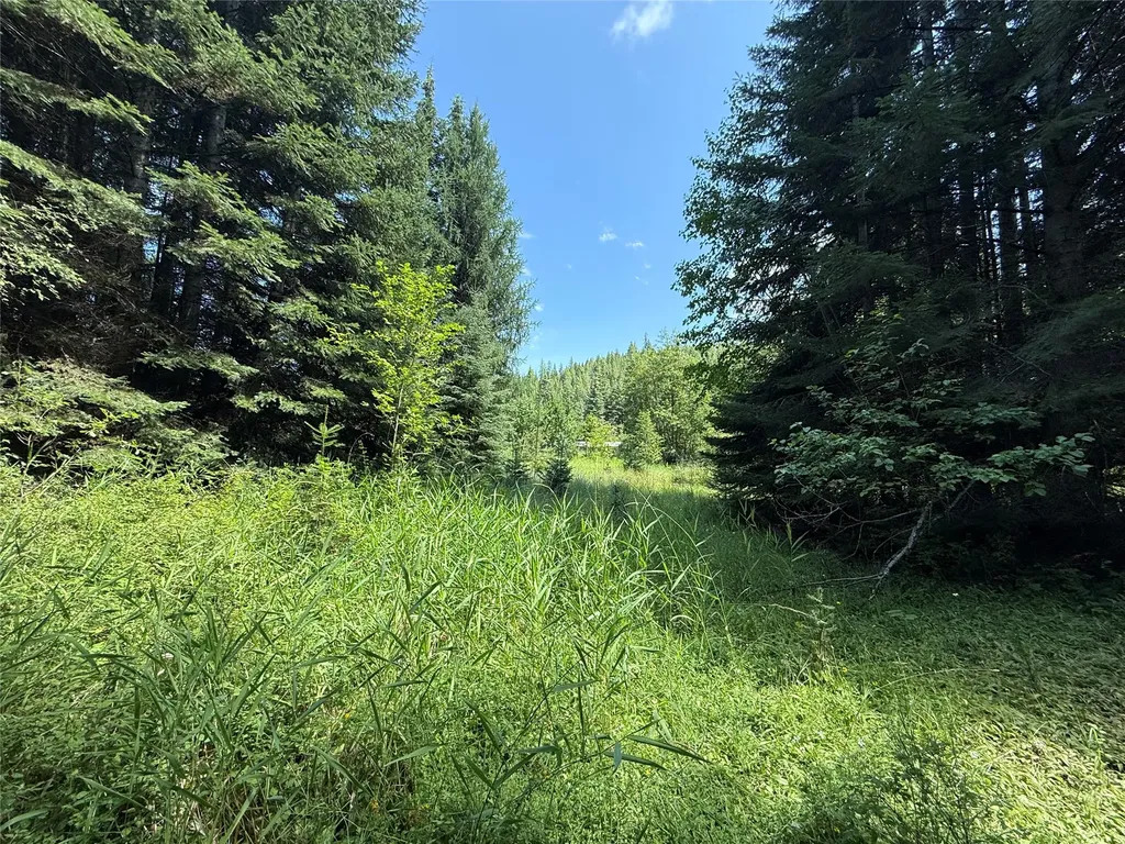 905 Freeman Ridge Road Troy MT 59935