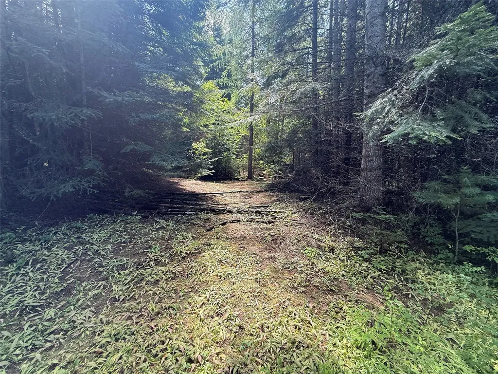 905 Freeman Ridge Road Troy MT 59935