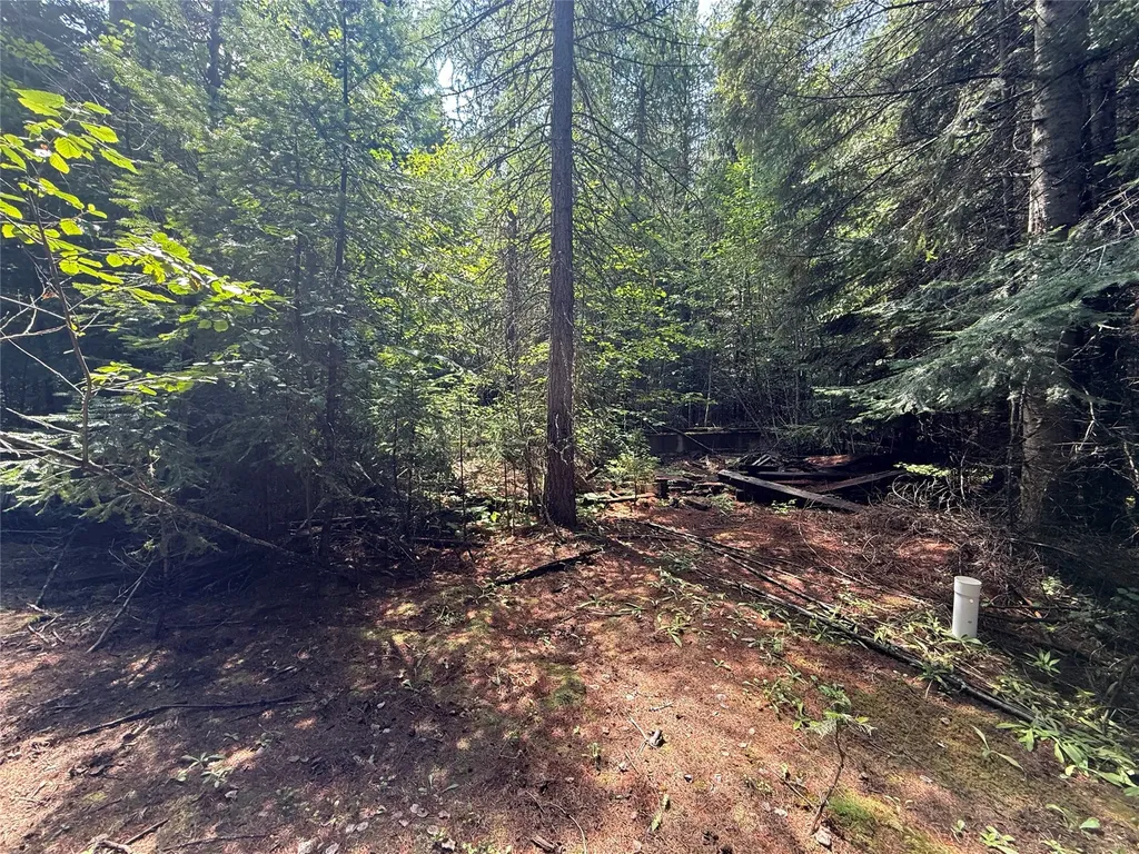 905 Freeman Ridge Road Troy MT 59935