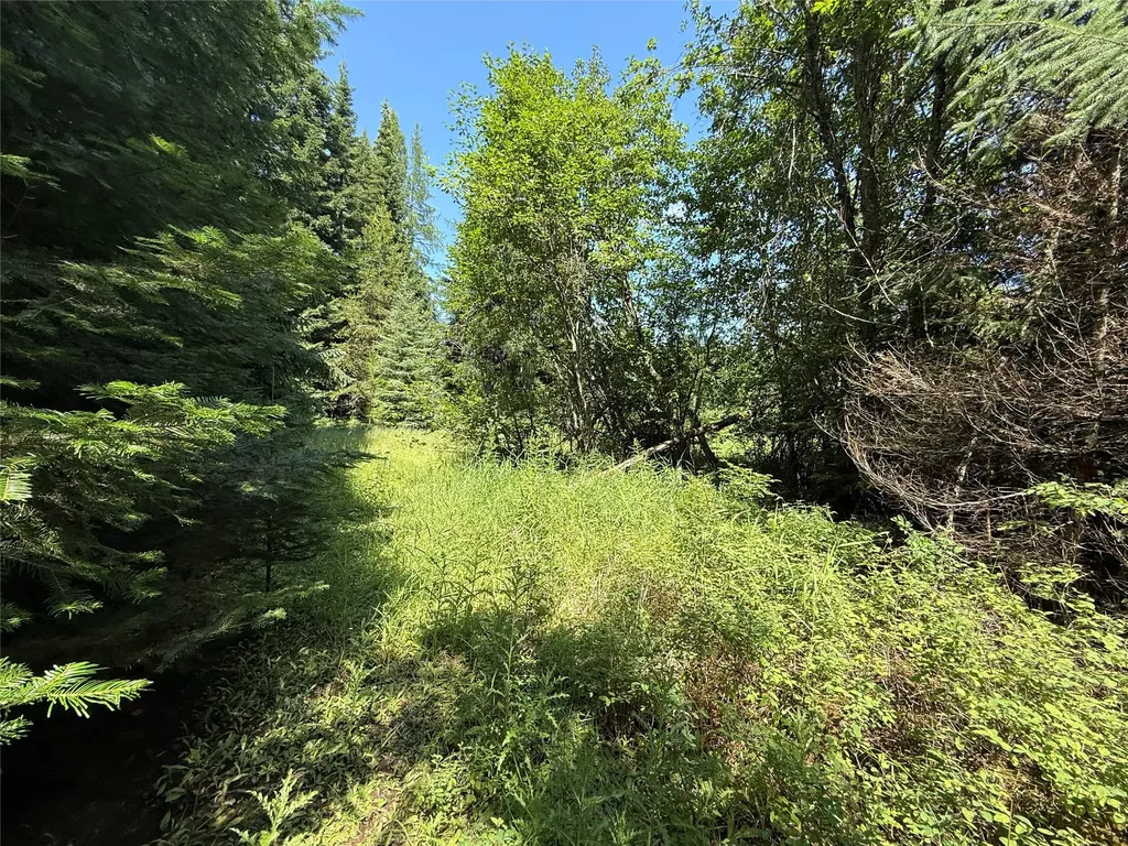 905 Freeman Ridge Road Troy MT 59935