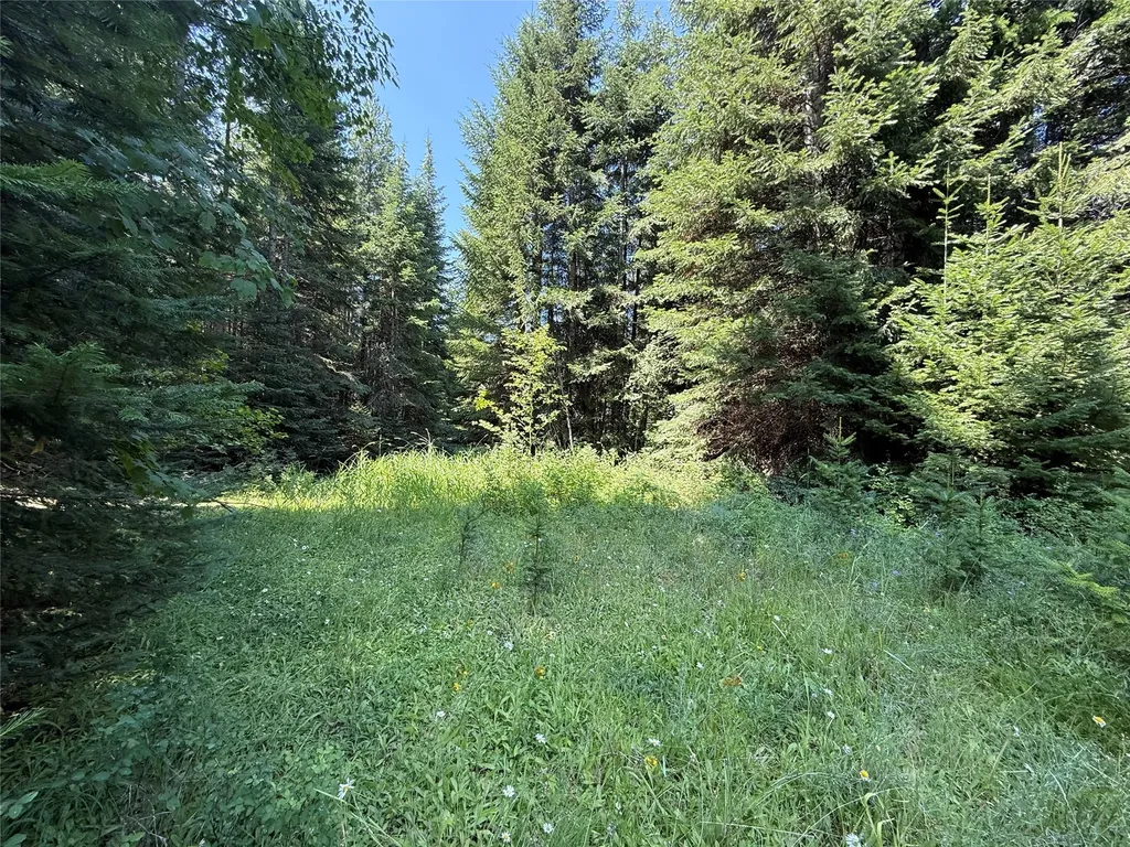 905 Freeman Ridge Road Troy MT 59935