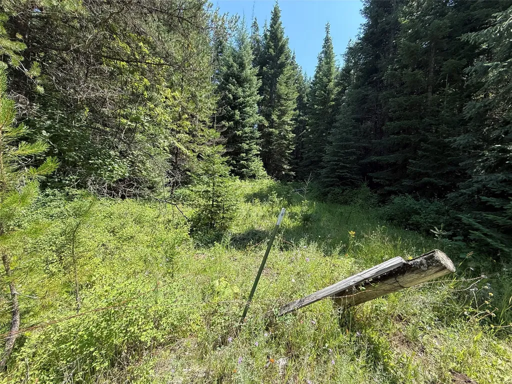 905 Freeman Ridge Road Troy MT 59935