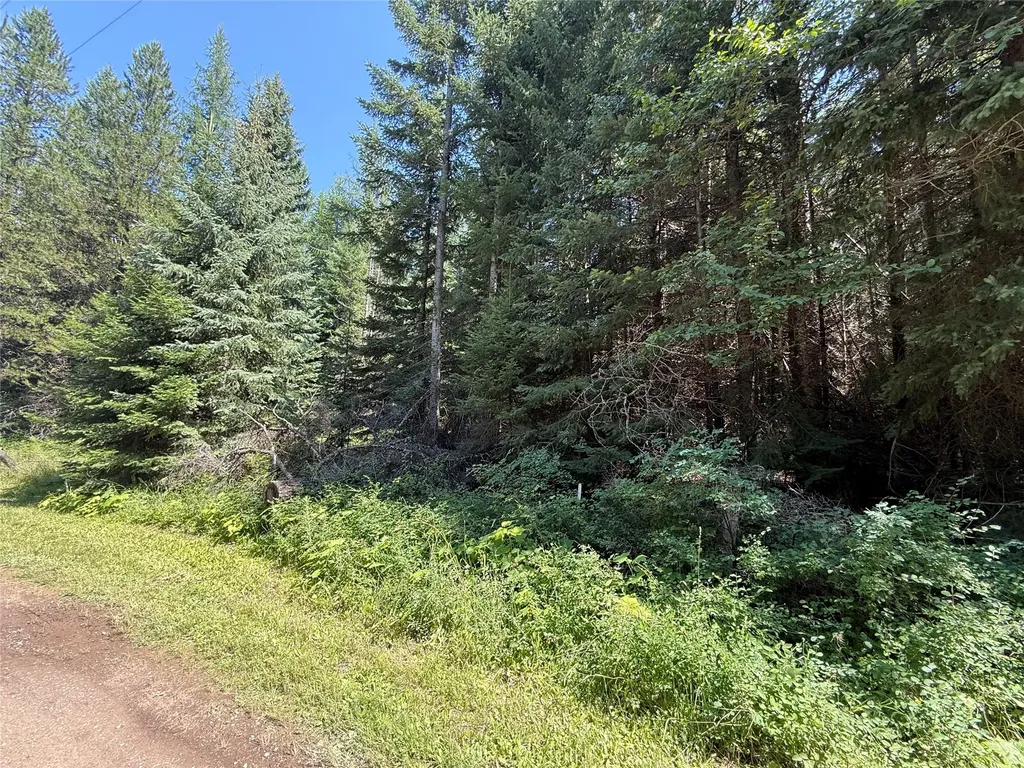 905 Freeman Ridge Road Troy MT 59935