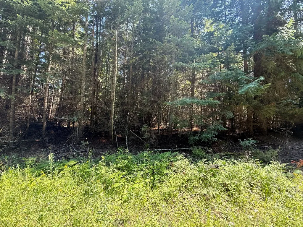 905 Freeman Ridge Road Troy MT 59935
